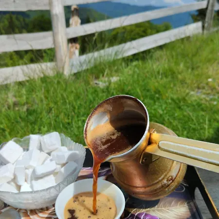 Tatil Evi Vranica Fojnica