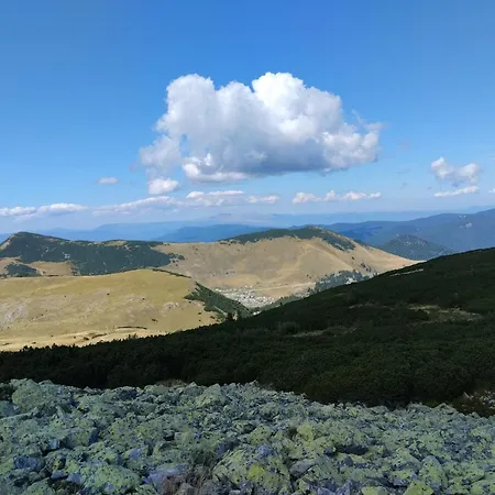 Vranica